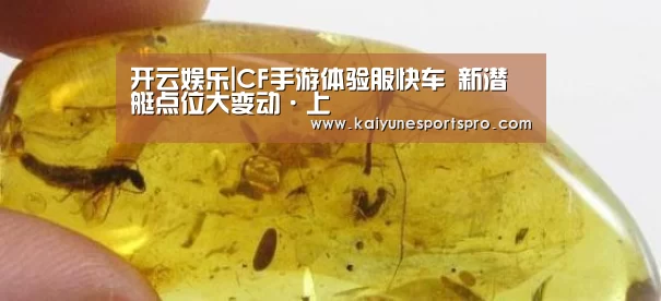 开云足球