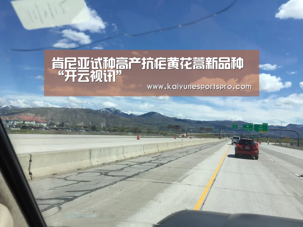 肯尼亚试种高产抗疟黄花蒿新品种“开云视讯”(图1) 开云足球