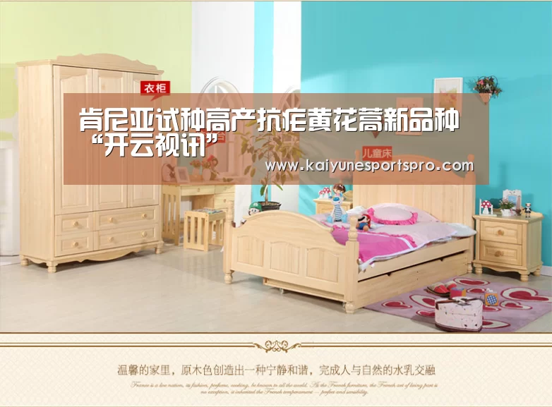 肯尼亚试种高产抗疟黄花蒿新品种“开云视讯”(图4) 开云足球
