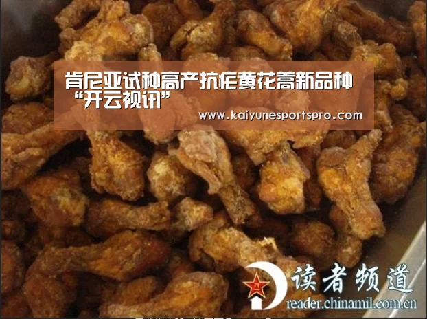 肯尼亚试种高产抗疟黄花蒿新品种“开云视讯”(图3) 开云足球