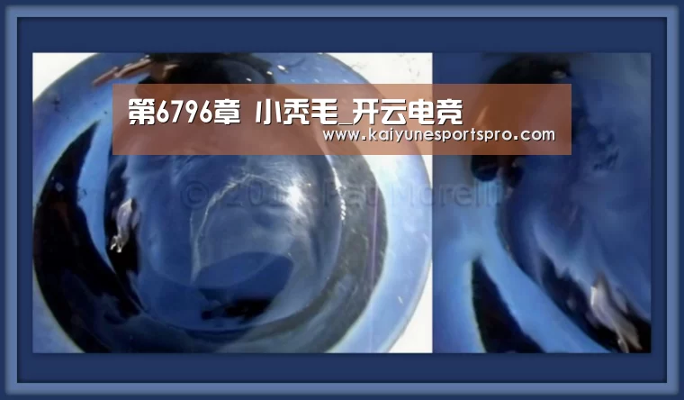 第6796章 小秃毛_开云电竞(图2) 开云视讯
