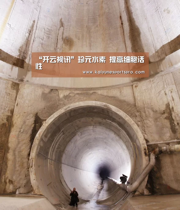 “开云视讯”珍元水素 提高细胞活性(图2) 开云足球