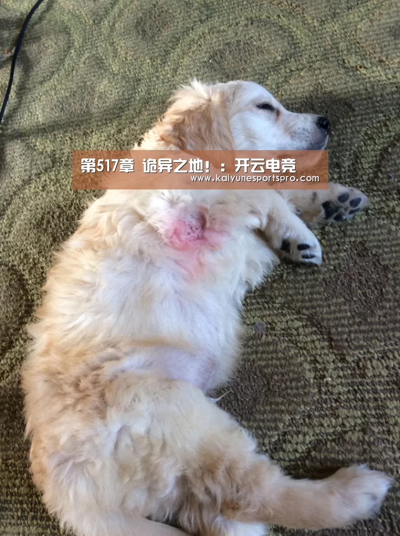 第517章 诡异之地!:开云电竞(图2) 开云视讯