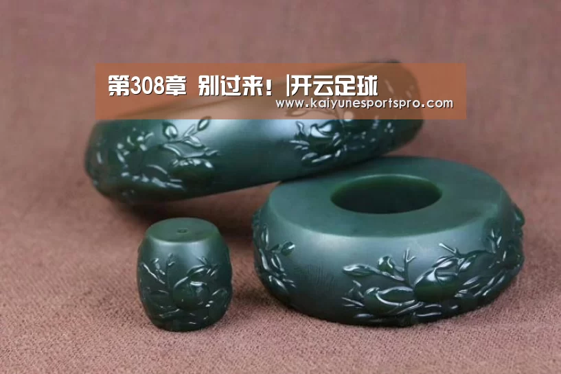 第308章 别过来!|开云足球(图3) 开云娱乐